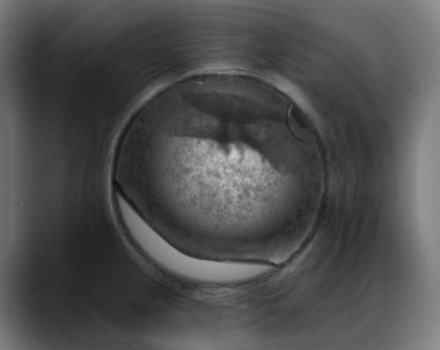 X0000088061237200705251336