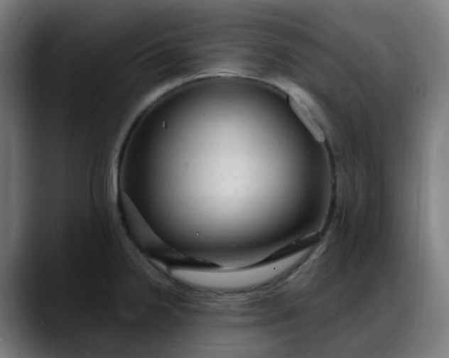 X0000088061238200705251336