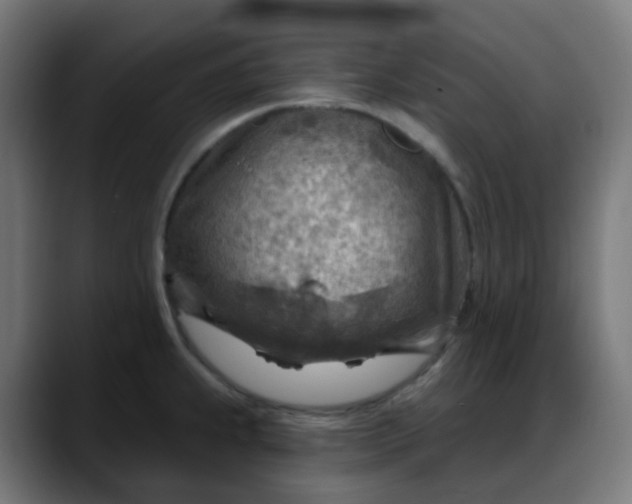 X0000088061239200705251336