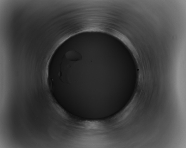X0000088061242200705251336