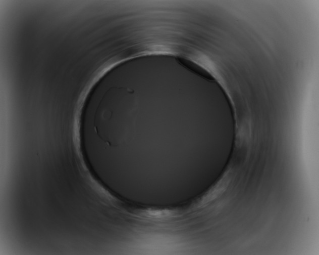 X0000088061243200705251336
