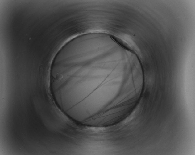 X0000088061244200705251336