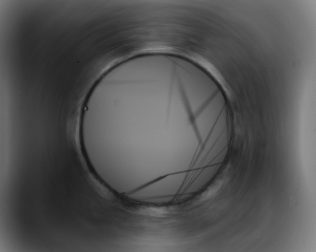 X0000088061245200705251336