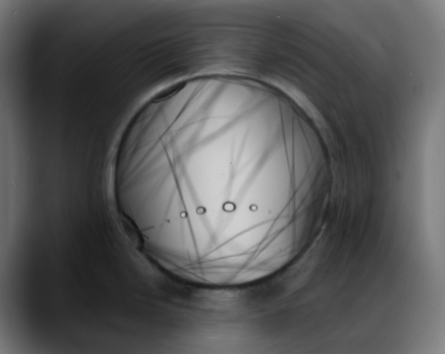 X0000088061246200705251336