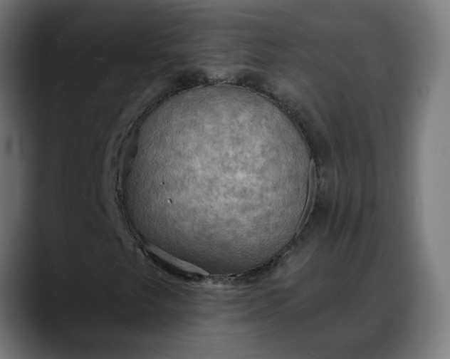 X0000088061249200705251335