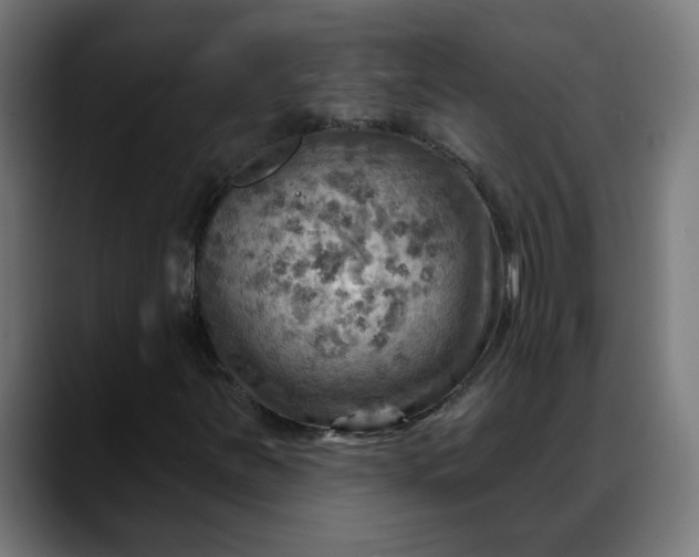 X0000088061251200705251335