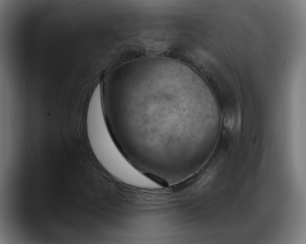 X0000088061252200705251335