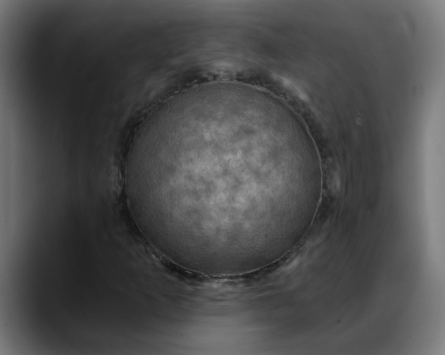 X0000088061253200705251335