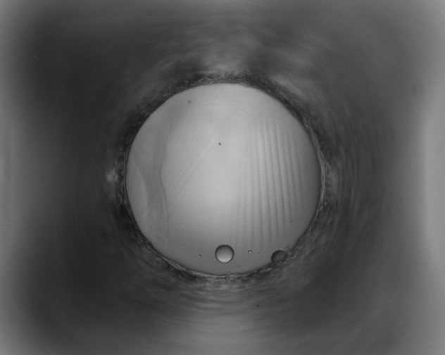 X0000088061254200705251335