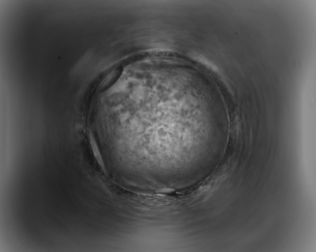 X0000088061255200705251335