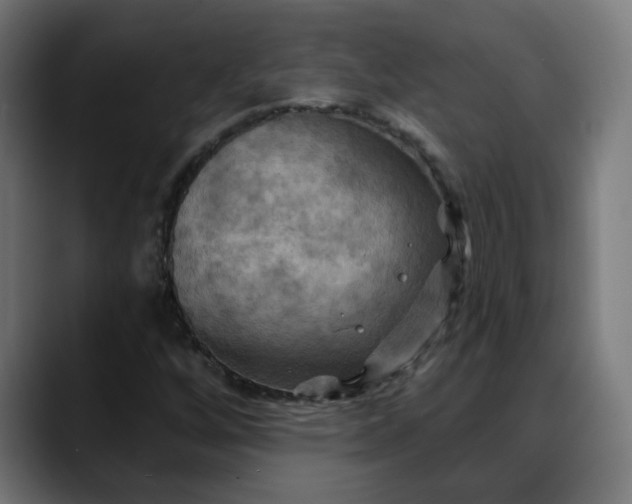 X0000088061256200705251335