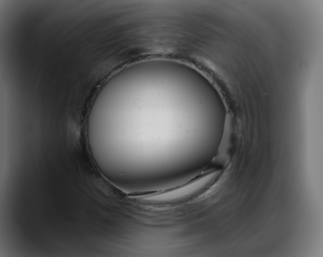 X0000088061257200705251335