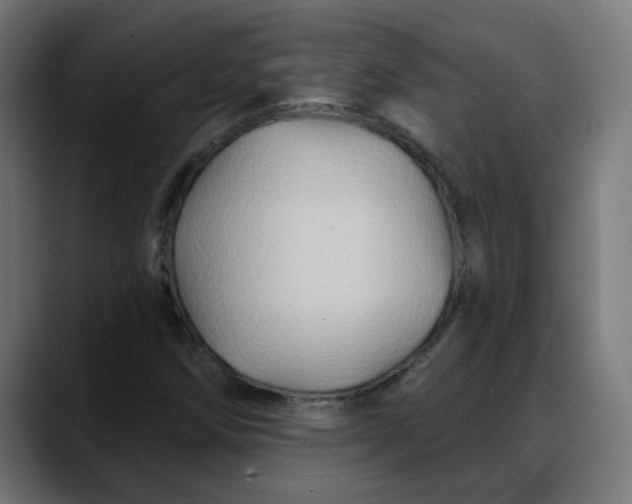 X0000088061258200705251335