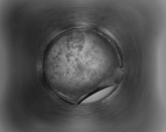 X0000088061259200705251335