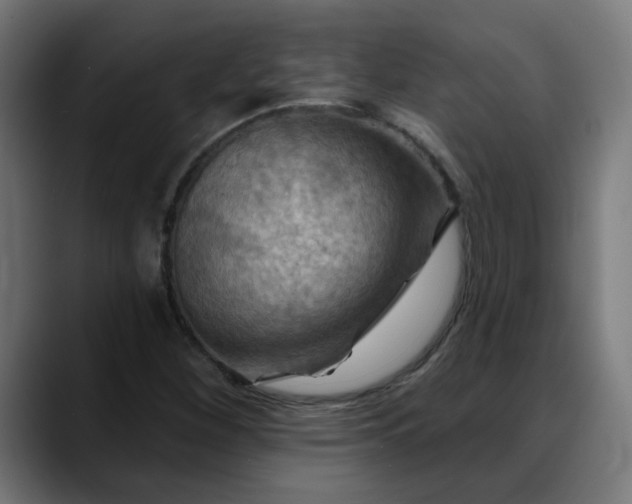 X0000088061260200705251335