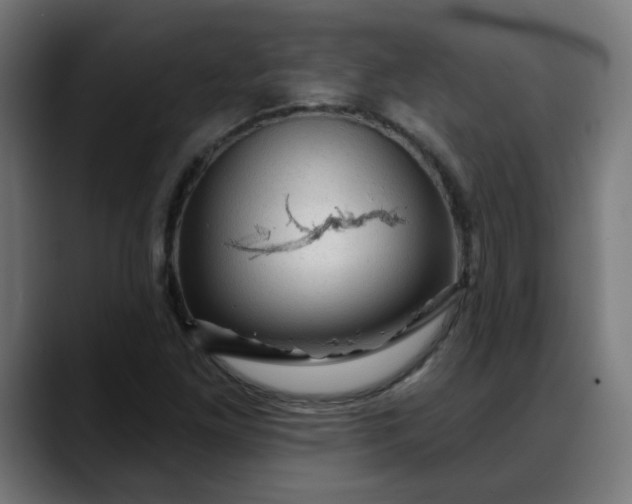 X0000088061261200705251335