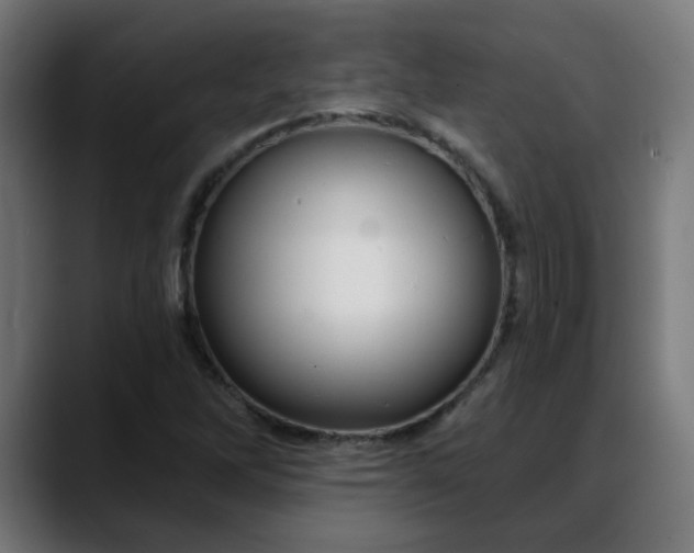 X0000088061262200705251335