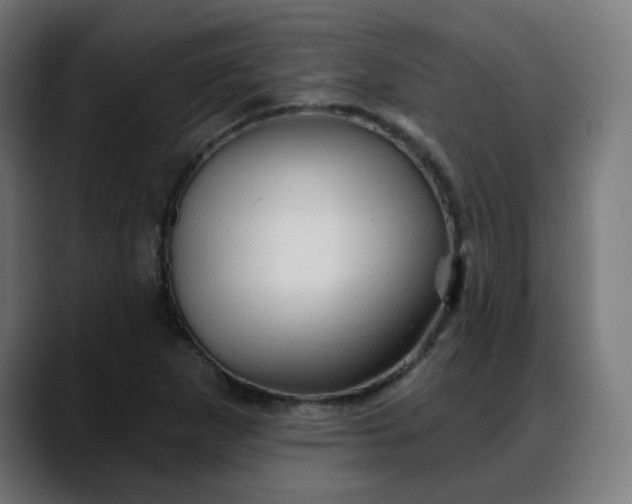 X0000088061265200705251335