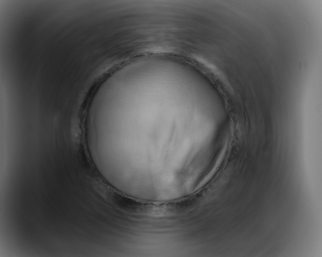 X0000088061266200705251335