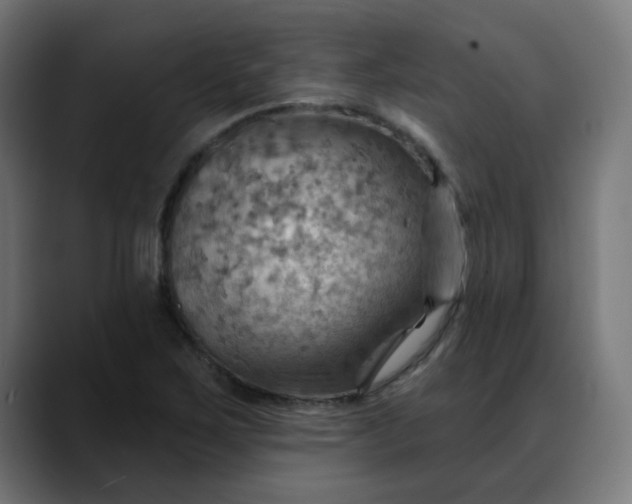 X0000088061267200705251335