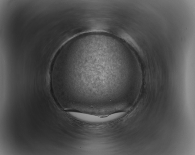 X0000088061268200705251335