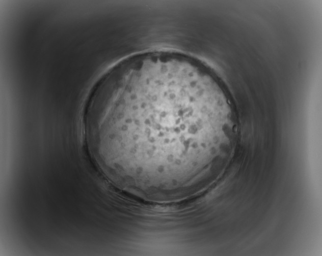 X0000088061271200705251335