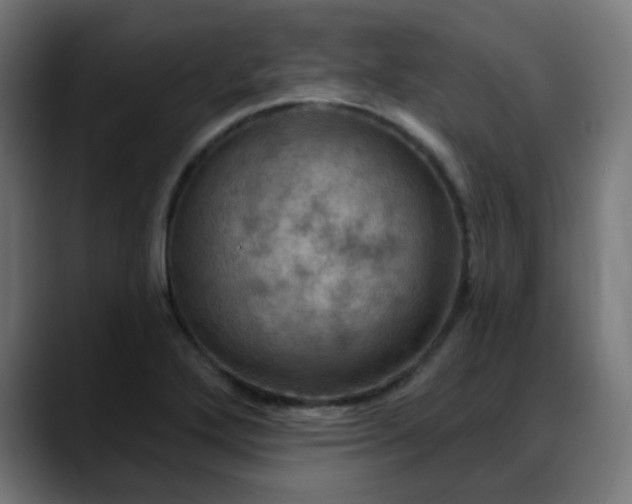 X0000088061272200705251335