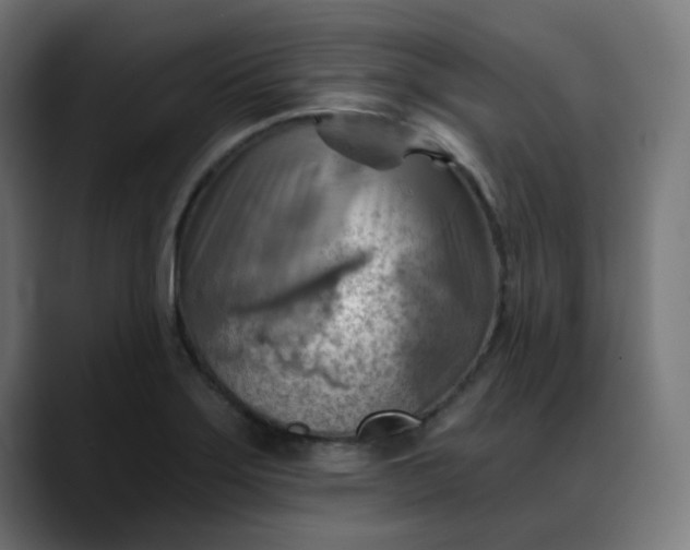 X0000088061275200705251335