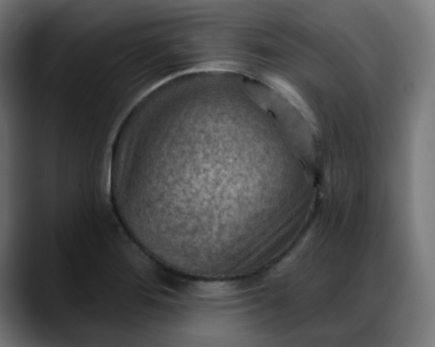 X0000088061276200705251335