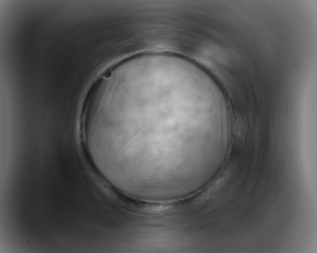 X0000088061278200705251335