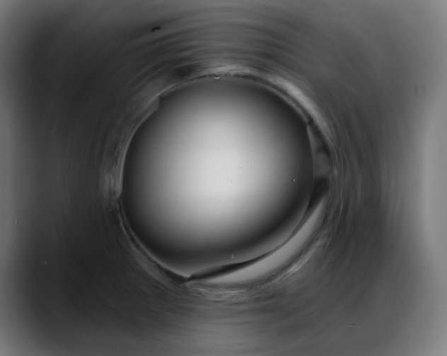 X0000088061281200705251335