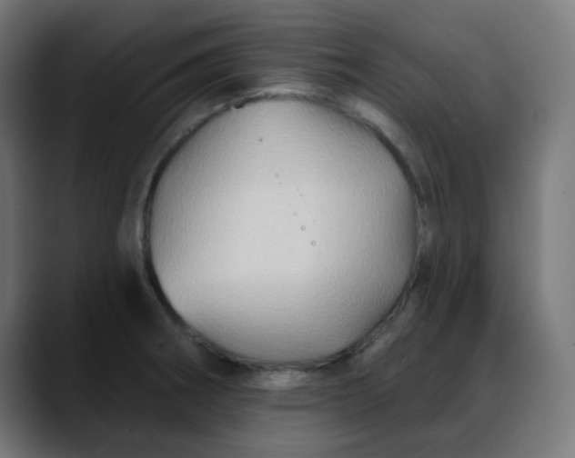 X0000088061282200705251335