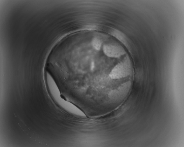 X0000088061283200705251335