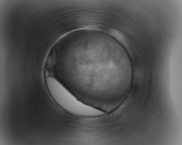 X0000088061284200705251335