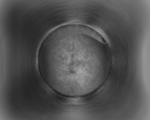 X0000088061288200705251335