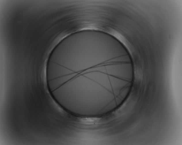 X0000088061290200705251335
