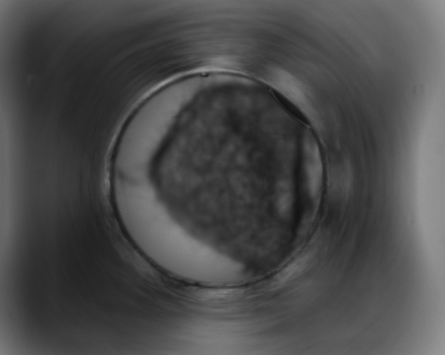 X0000088061292200705251335