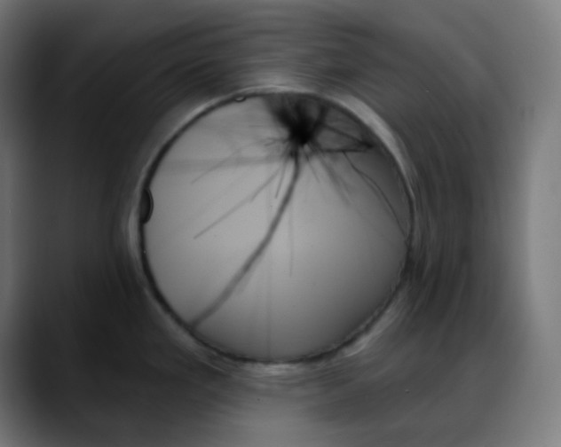X0000088061293200705251335