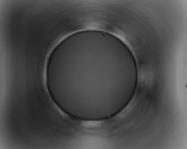 X0000088061294200705251335