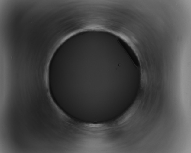 X0000088061295200705251335