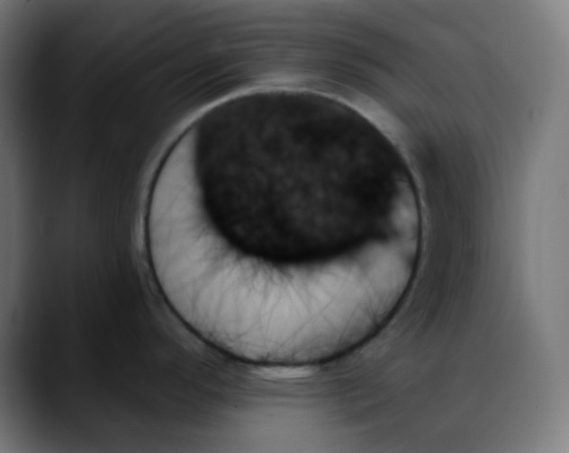 X0000088061296200705251335