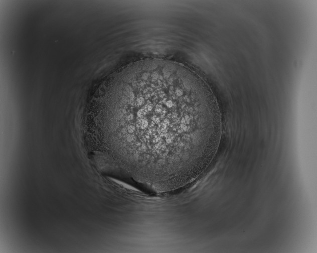 X0000088061297200705251334