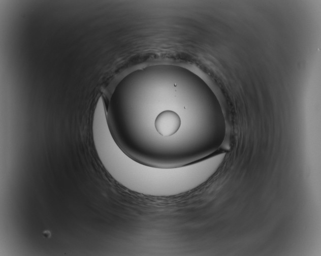 X0000088061298200705251334