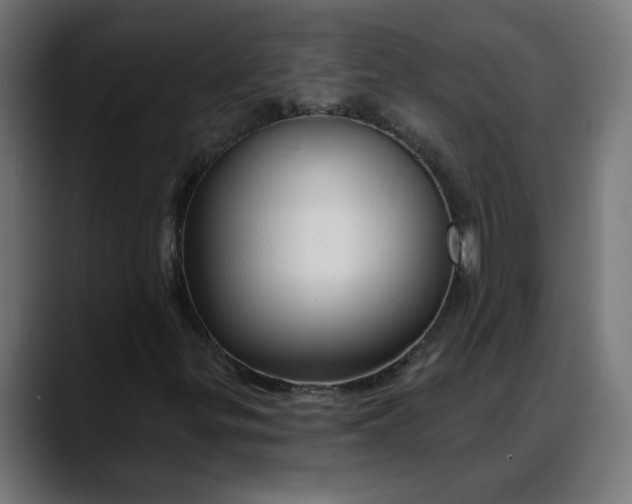 X0000088061299200705251334