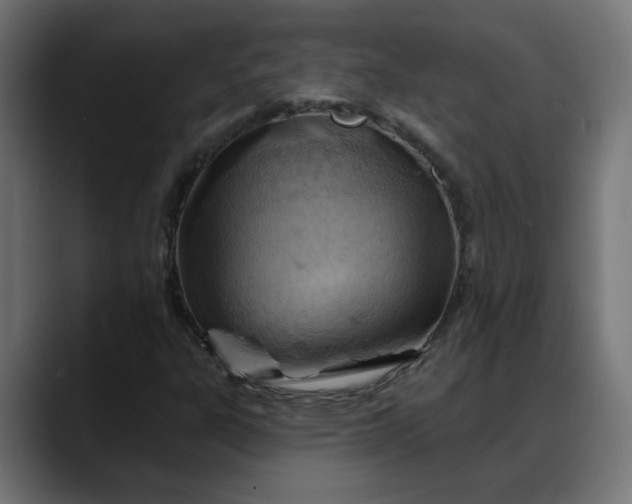 X0000088061303200705251334