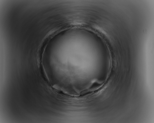 X0000088061306200705251334