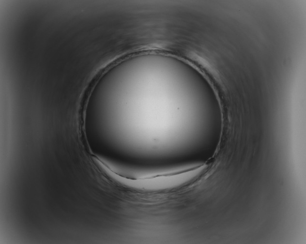 X0000088061308200705251334
