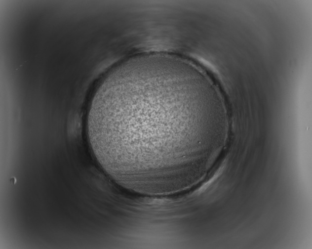 X0000088061309200705251334