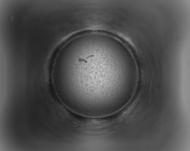 X0000088061311200705251334