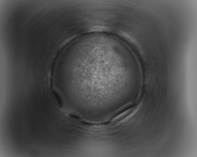 X0000088061313200705251334